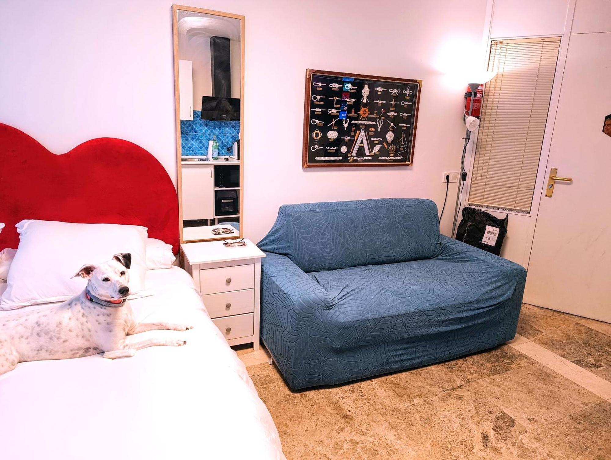 Hostal Estudios Badalona Bagian luar foto